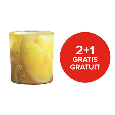 Bougie citronnelle en verre