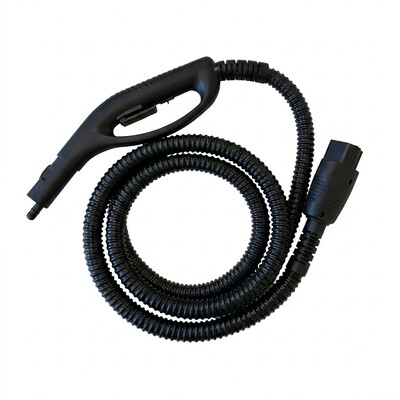 Flexible 2 mètres Steam Mini