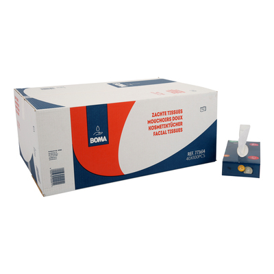 Facial tissues - 2 ply - 21 x 21 cm - pack of 40 x 100