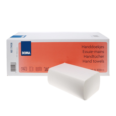 Multifold hand towels - virgin tissue - TAD type - 2 ply - 32 x 20 cm - WHITE - pack of 2000 (20 x 100)