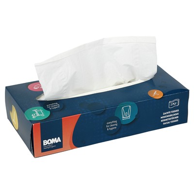 783085: Facial Tissue - 2 plis - 21 x 21 cm - 100 pièces