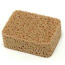 ponges
